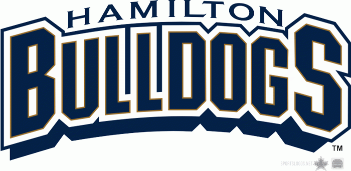 Hamilton Bulldogs 1996 97-2001 02 Wordmark Logo v2 iron on heat transfer